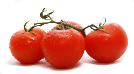bright tomato