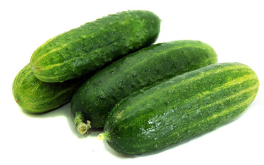 Ripe green cucumbers-natural source of vitamins and freshness