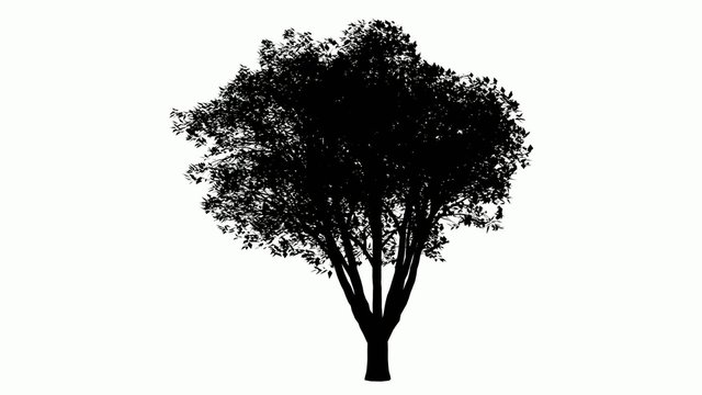 Animated tree
