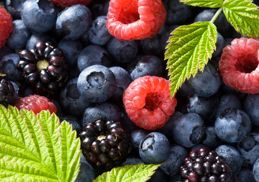 Verschiedene Beeren und Bl&auml;tter (bildf&uuml;llend)