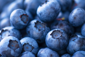 Heidelbeeren (close-up)