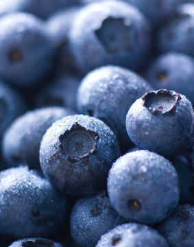 Heidelbeeren mit Wassertr&ouml;pfchen (close-up)