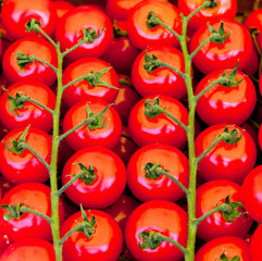 red tomatoes