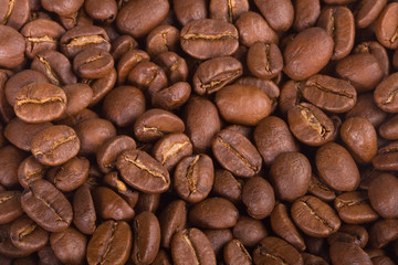 Coffee Bean Background