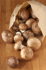 Heap of agarics