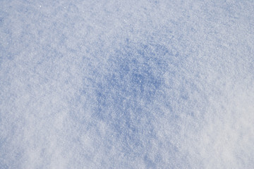 Obraz premium 雪原