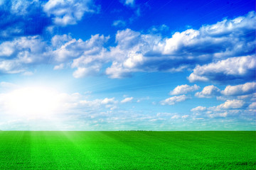 Fototapeta na wymiar Green grass, the blue sky and white clouds and sun