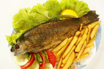 Fried trout