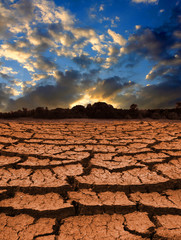 Fototapeta premium Leafless land