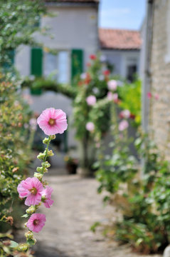 Ruelle de l'ile de r&eacute;