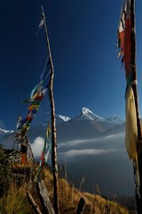 Annapurnas - 15542775