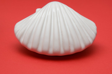 Clay shell on red background