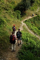 croisee des chemins