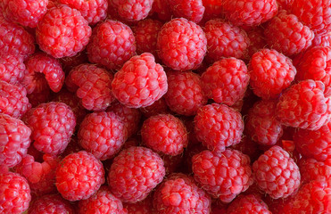 Raspberries background