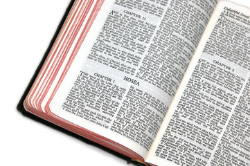 bible open to hosea