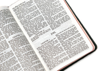 Fototapeta premium bible open to joel