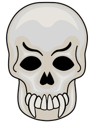 Skull vector