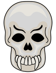 Skull vector