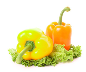 Two peppers on green salad isolated