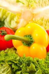 Pepper and few vegetables