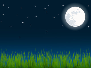 Fototapeta na wymiar vector illustration of green grass over the night sky