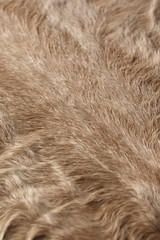 Pony fur coat