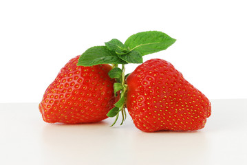 Fragole - Fragaria vesca