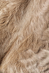 Pony fur