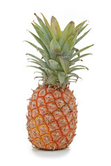 Fototapeta premium ananas sur fond blanc