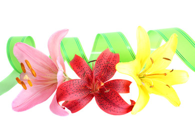 Three lilies and tape