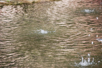 Brunnen im Park