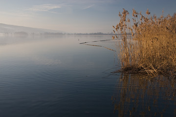 Greifensee 2
