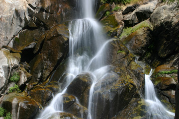 Obraz premium Grizzly Falls 2