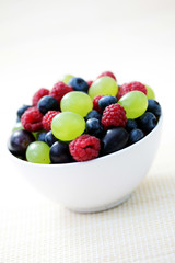summer berry fruits