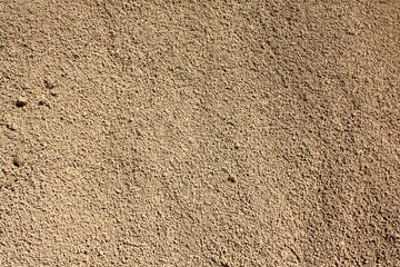 Sandberg