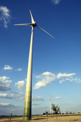 wind energy