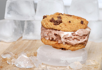 chocolate chip ice cream sandwich