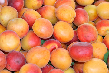 apricot