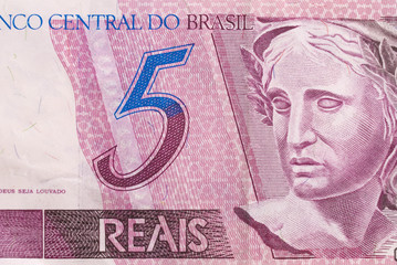 Brazilian Money