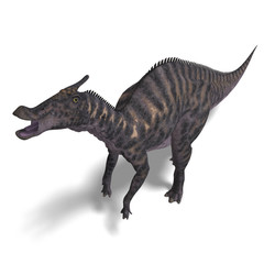 Obraz na płótnie Canvas Dinosaur Saurolophus
