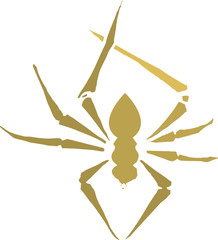 Spider Silhouette