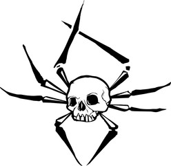 Spider Skull