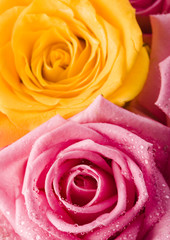 Fototapeta na wymiar Romantic flowers