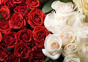 Romantic flowers