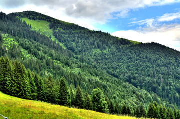 Obraz premium Hangwälder