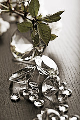 Natural jewel - Diamond