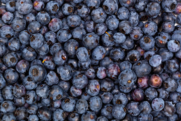 many blueberries