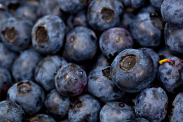 blueberries closeup
