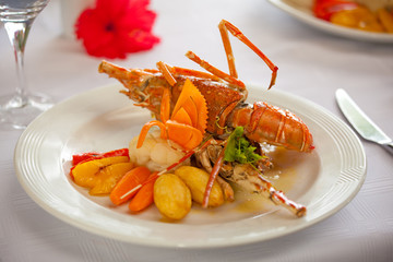 fresh grilled lobster