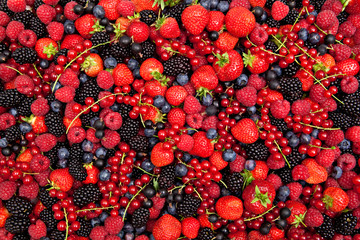 colorful berry mix